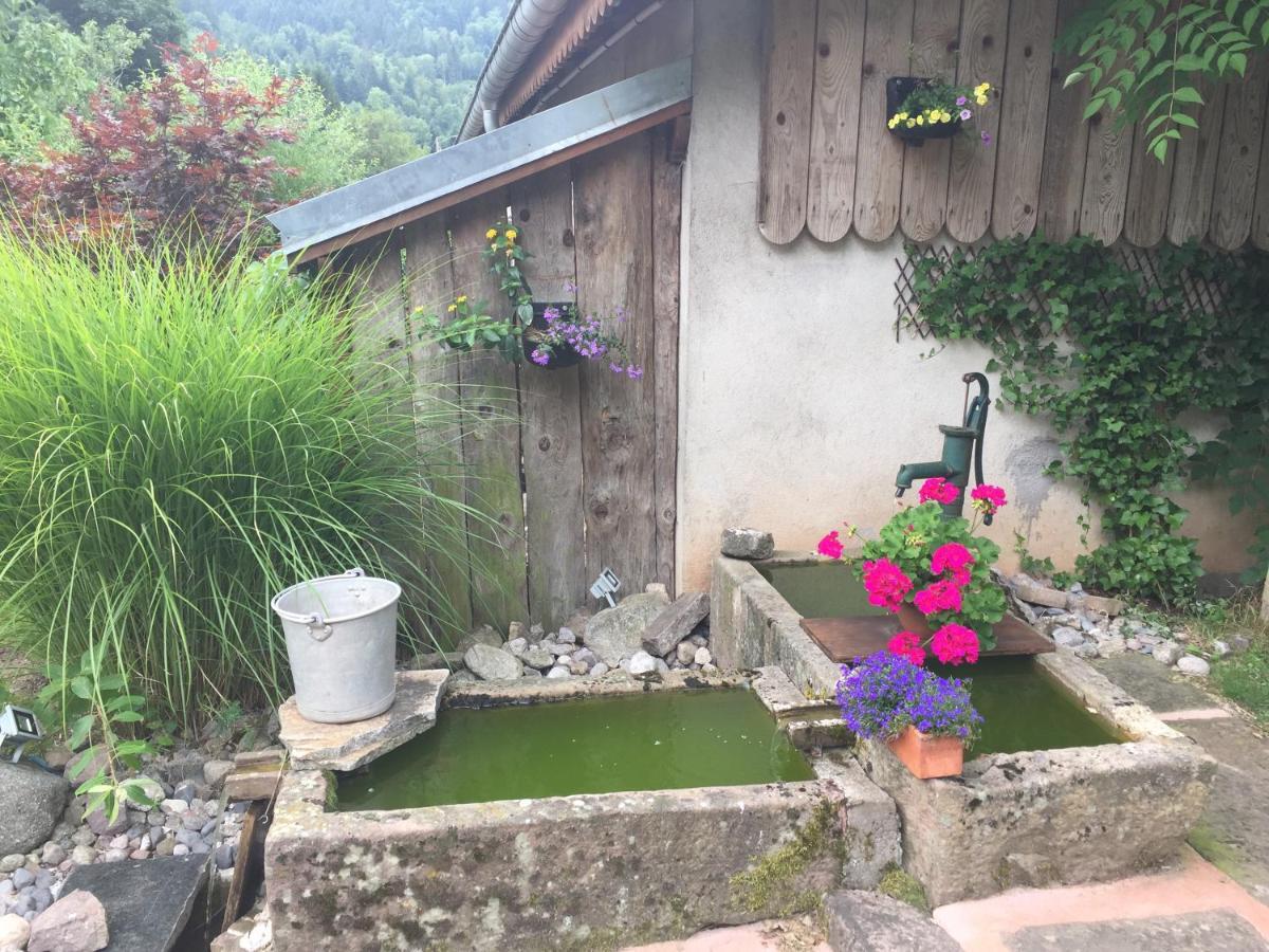 Gite De La Mesange Rochesson エクステリア 写真